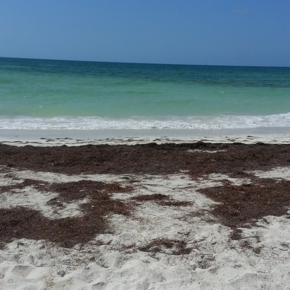 Meet your Posher, Jack